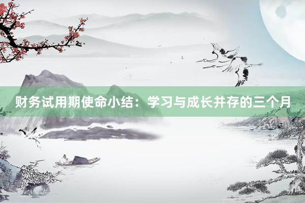 财务试用期使命小结：学习与成长并存的三个月