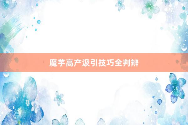 魔芋高产汲引技巧全判辨