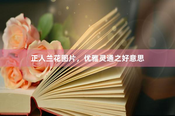 正人兰花图片，优雅灵通之好意思